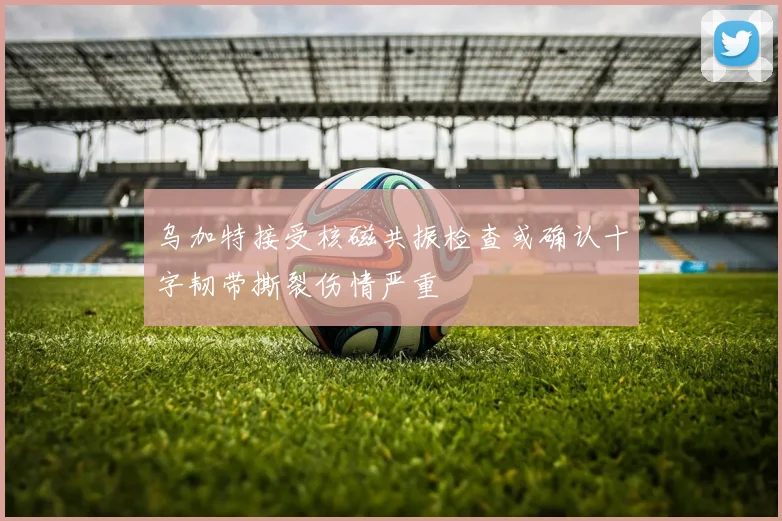乌加特接受核磁共振检查或确认十字韧带撕裂伤情严重