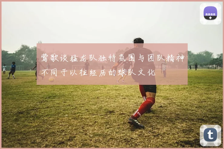 莺歌谈猛龙队独特氛围与团队精神不同于以往经历的球队文化